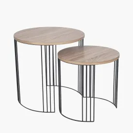 Atri Set of 2 Metal Round Side Tables- Dark Wood and Black Finish