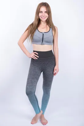 Ombre Training Tights