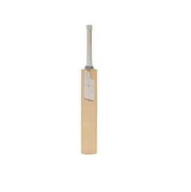 SF TRANSFORMATION 2.0 CRICKET BAT | KIBI SPORTS